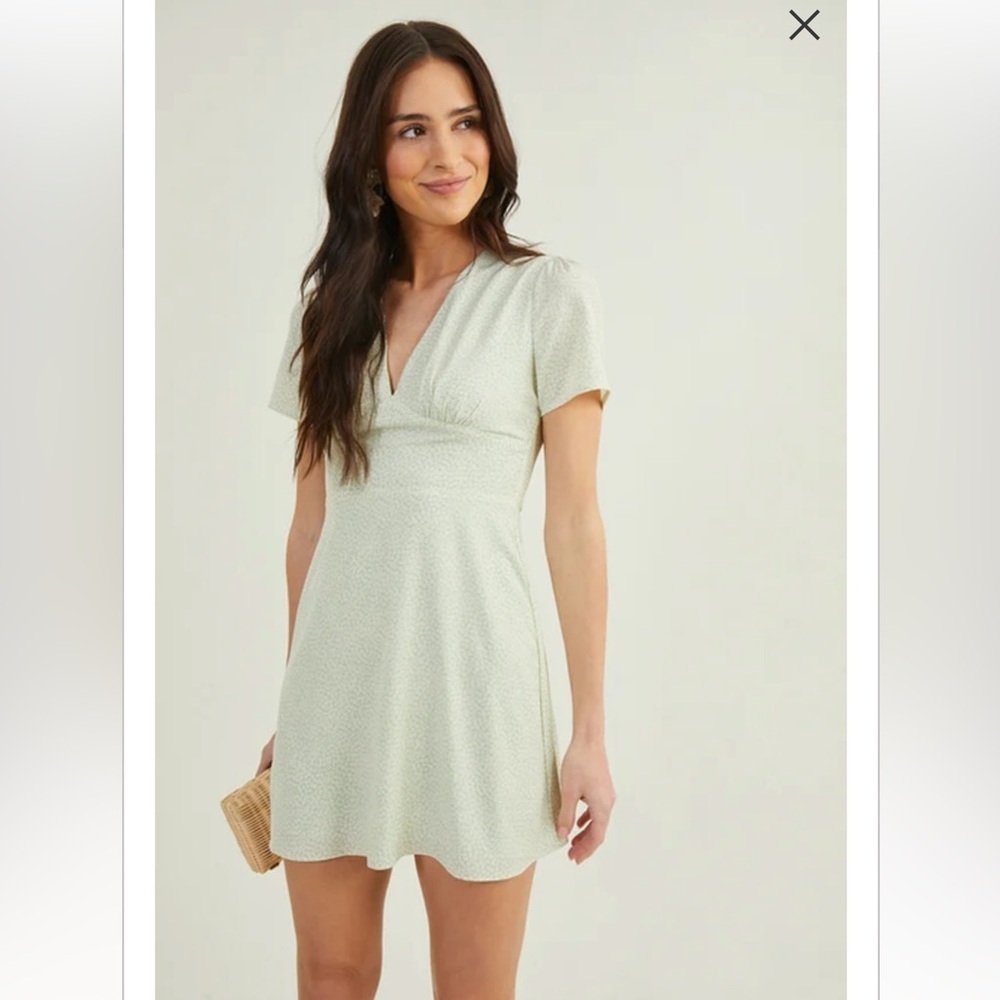 New with tags altard state Scarlett v-neck floral dress